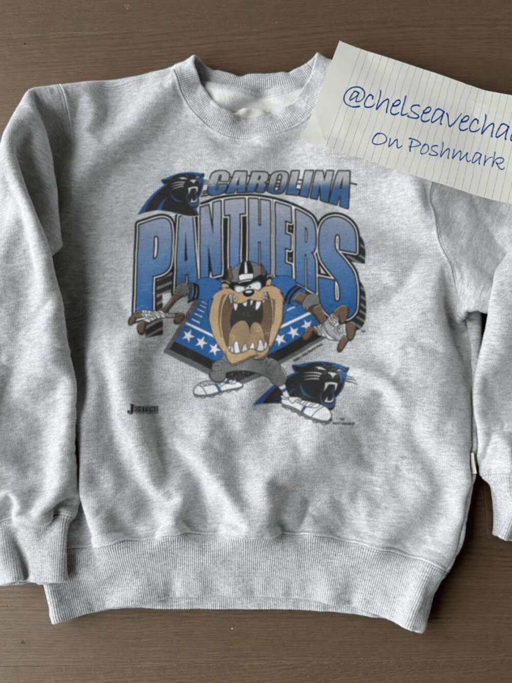 Vintage Carolina Panthers Taz Looney Toons Football Sweatshirt, NFL Shirt Tee